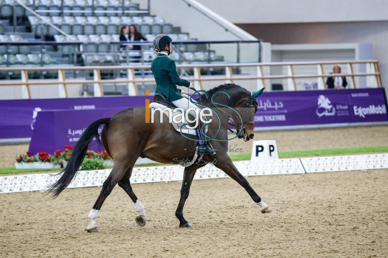 Addison_Fahreneit_Doha2019__S3_3170.jpg