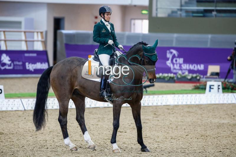 Addison_Fahreneit_Doha2019__S3_3189.jpg