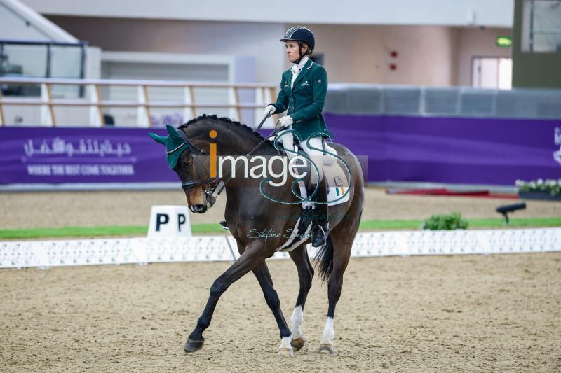 Addison_Fahreneit_Doha2019__S3_3191.jpg