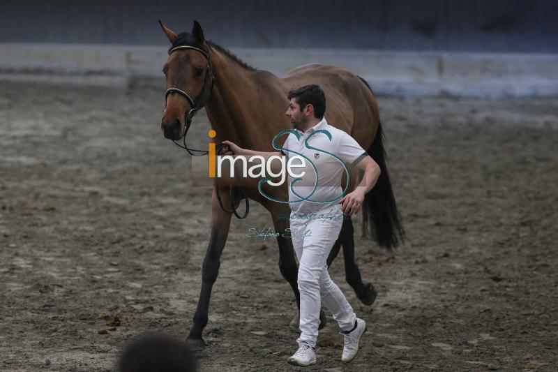 Afrancis_Cesena2019_SS7_7863.jpg