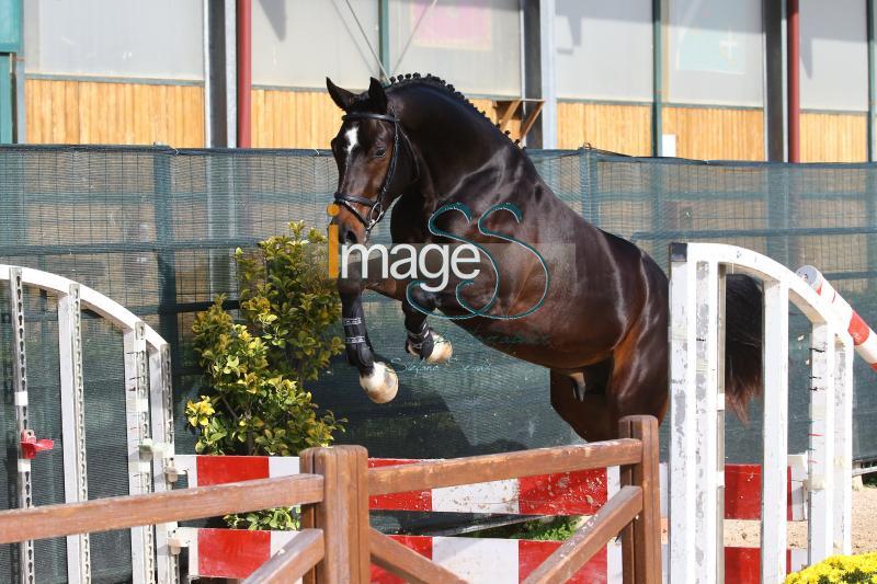 Arkornet_Arezzo2020_SS7_0804.JPG