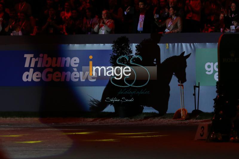 BRASH_Sanctos_Geneve2019_SS7_7727.jpg