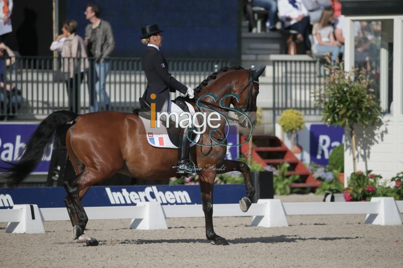 BRIEUSSEL_Amorak_Rotterdam2016_SS7_6813.jpg
