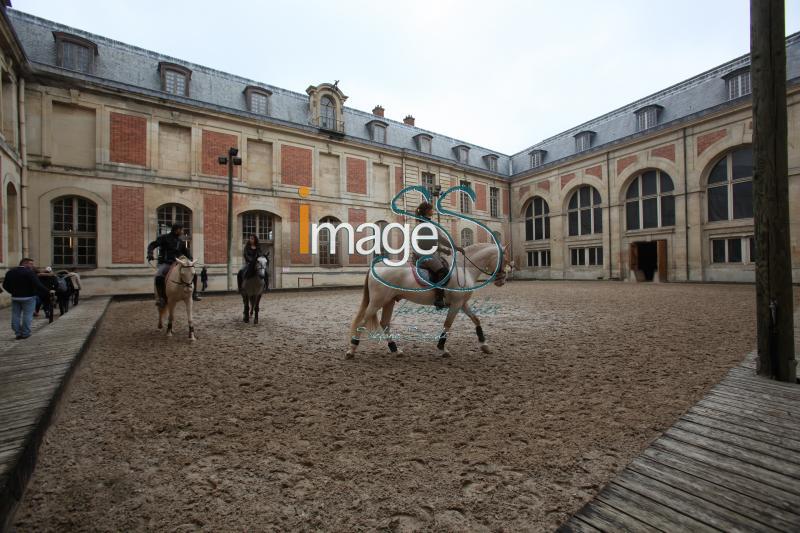 Bartabas_Versailles2017_IMG_0115.jpg