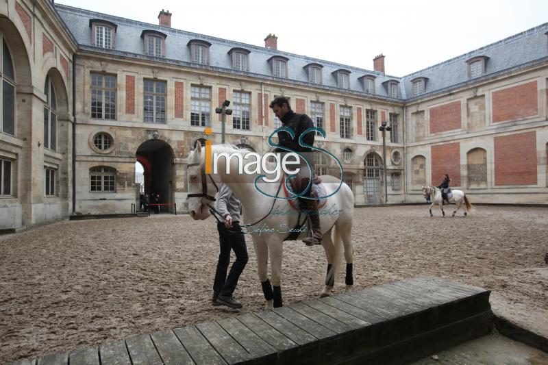 Bartabas_Versailles2017_IMG_0207.jpg