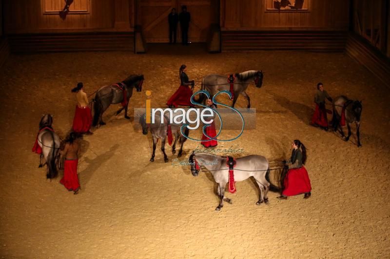 Bartabas_Versailles2017_SS7_1826.jpg