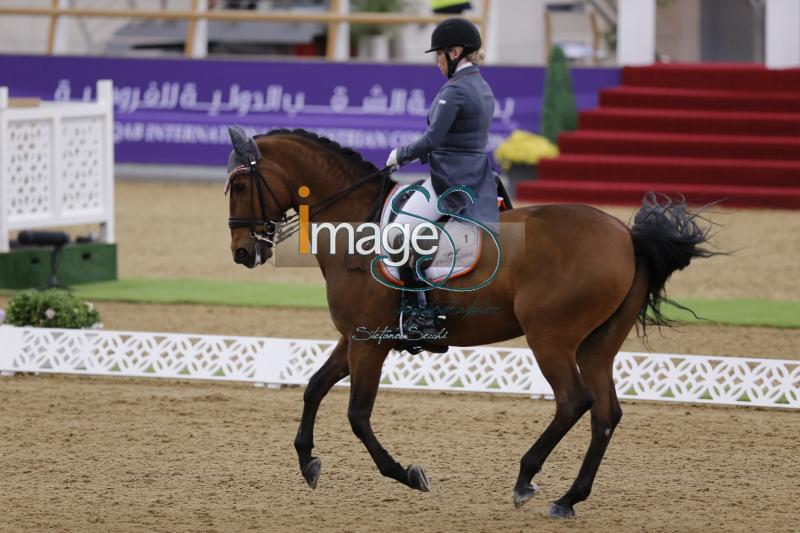 Bondergaard_Roberto_Doha2019__S3_9495.jpg