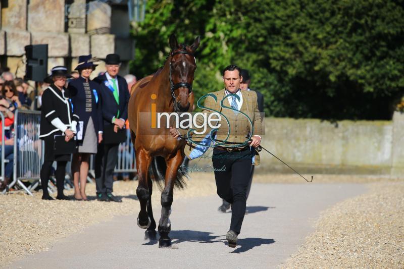 Bragg_Zagreb_Badmington2018_SS7_3431.jpg