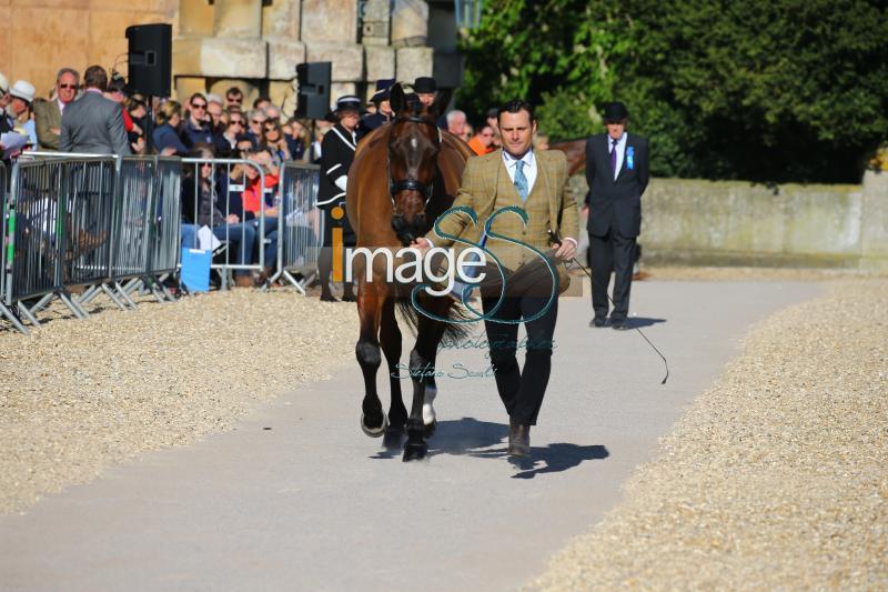 Bragg_Zagreb_Badmington2018_SS7_3433.jpg