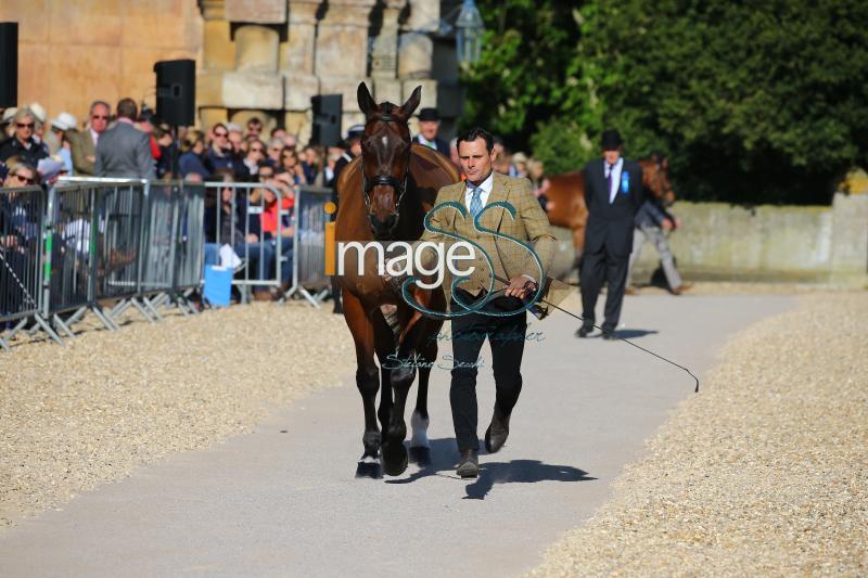 Bragg_Zagreb_Badmington2018_SS7_3435.jpg