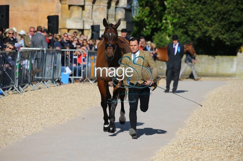 Bragg_Zagreb_Badmington2018_SS7_3436.jpg