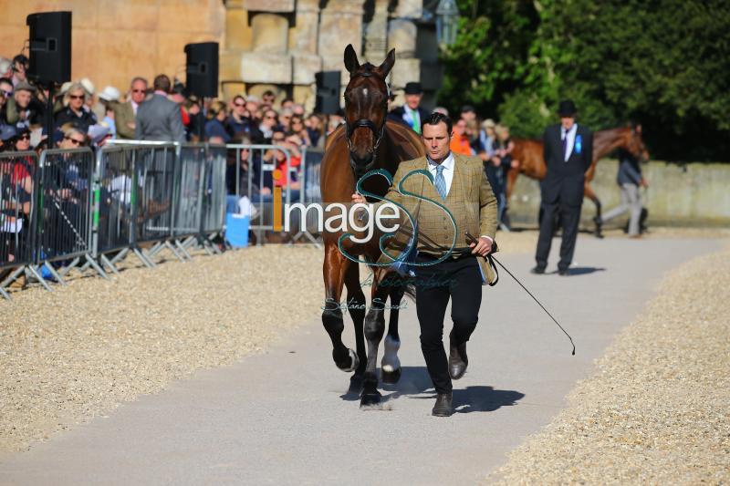 Bragg_Zagreb_Badmington2018_SS7_3438.jpg