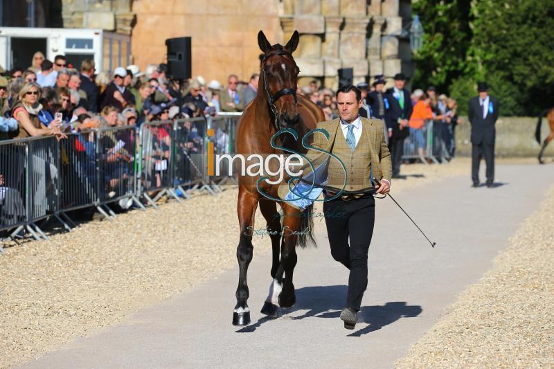Bragg_Zagreb_Badmington2018_SS7_3440.jpg