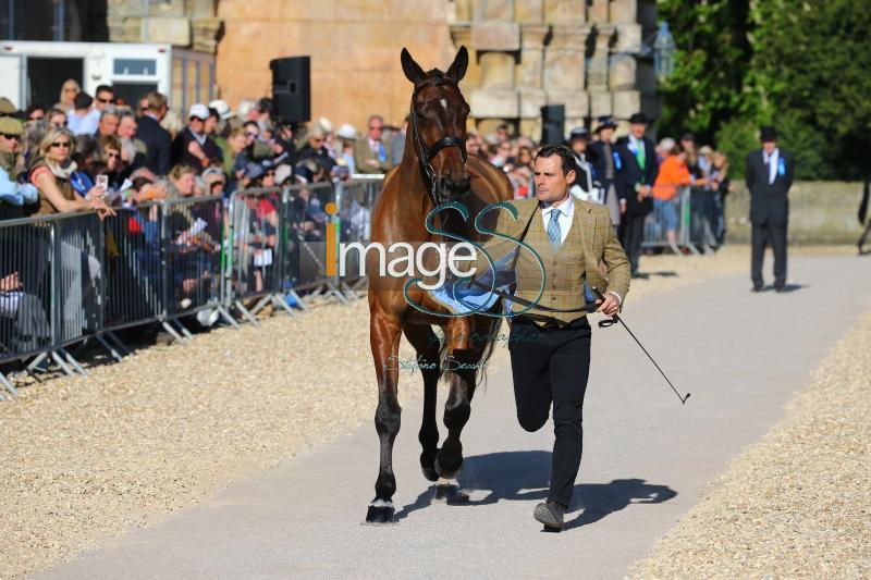 Bragg_Zagreb_Badmington2018_SS7_3441.jpg