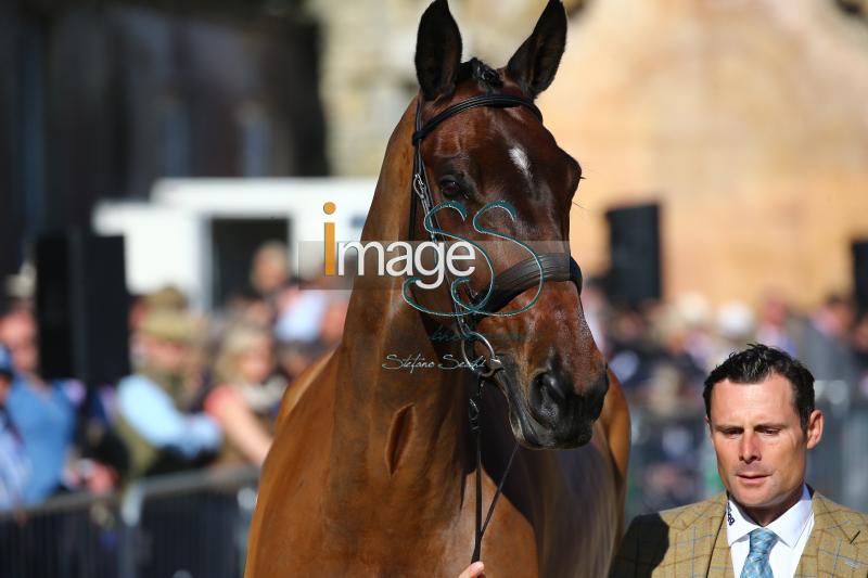 Bragg_Zagreb_Badmington2018_SS7_3442.jpg