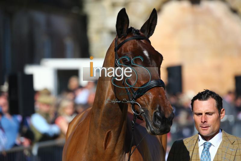 Bragg_Zagreb_Badmington2018_SS7_3443.jpg
