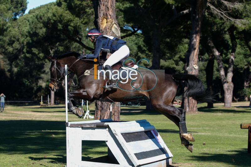 CASTELLOTTI_HOLLYPARK_S7_4773.jpg