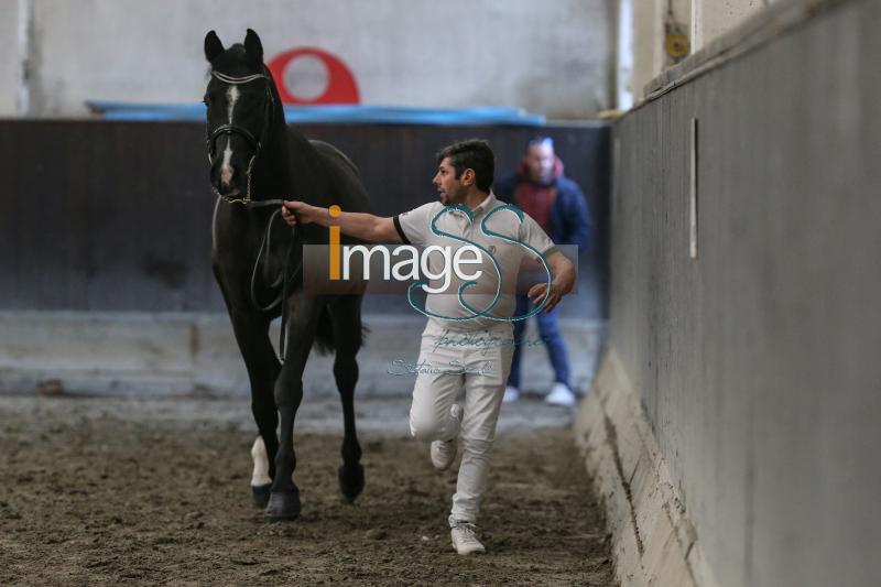 Calghary_Cesena2019_SS7_7462.jpg