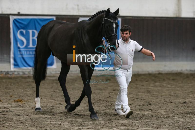 Calghary_Cesena2019_SS7_7501.jpg