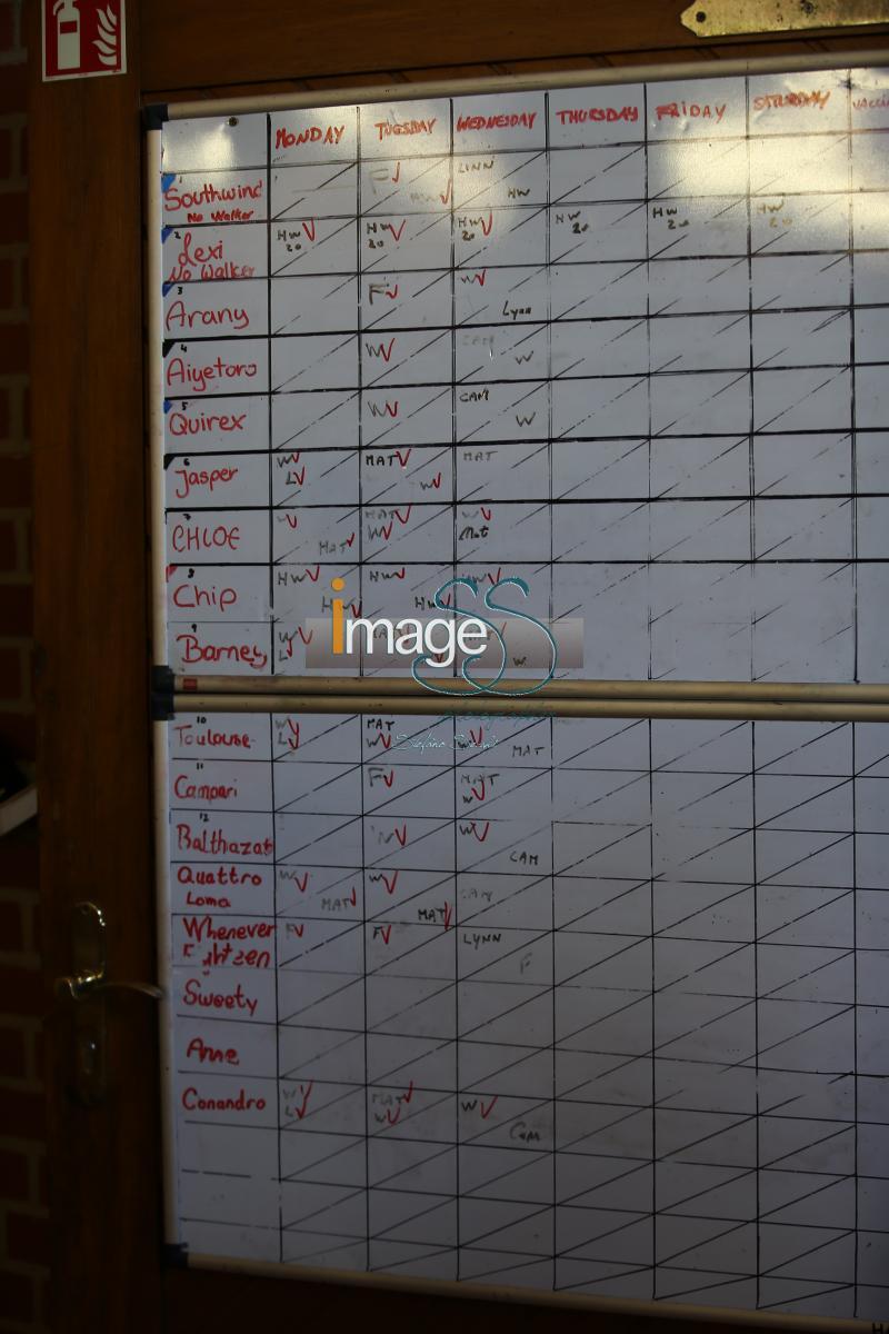 CameronHanley_SS7_9053.jpg