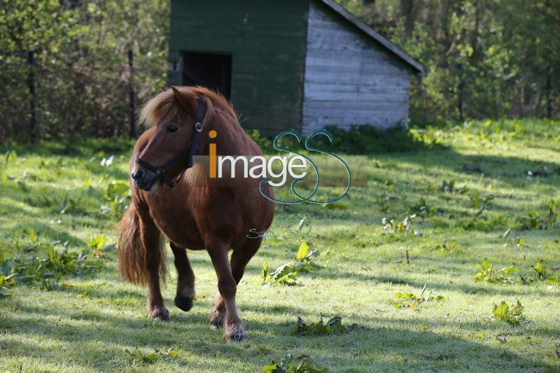 CameronHanley_SS7_9113.jpg