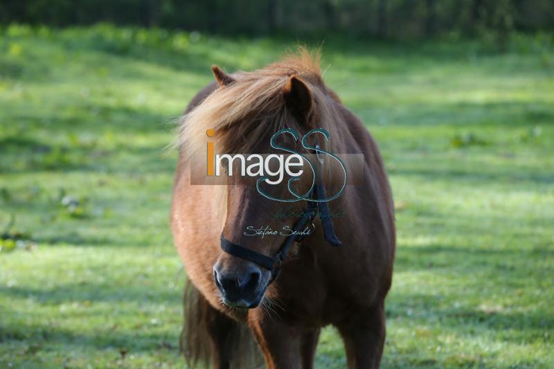 CameronHanley_SS7_9115.jpg