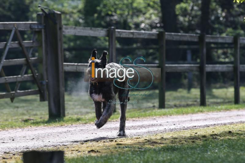 CameronHanley_SS7_9158.jpg