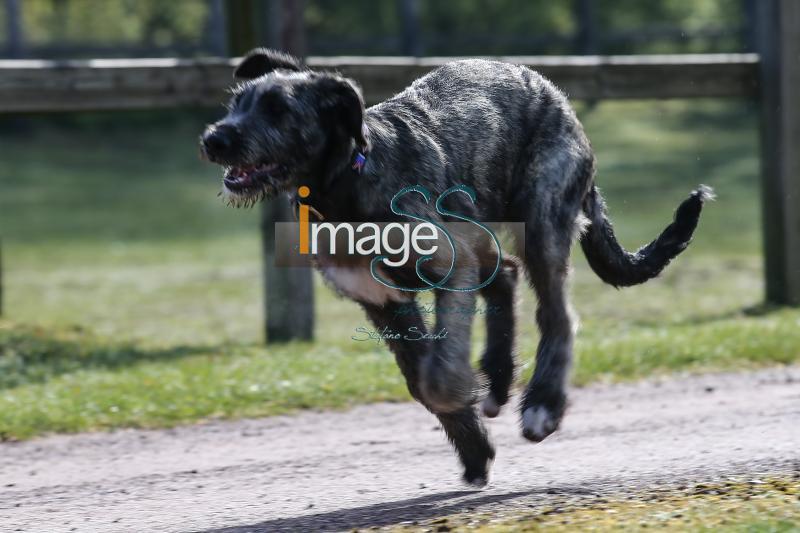CameronHanley_SS7_9165.jpg