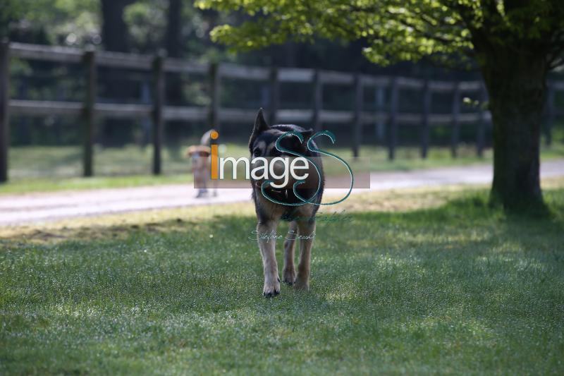 CameronHanley_SS7_9169.jpg