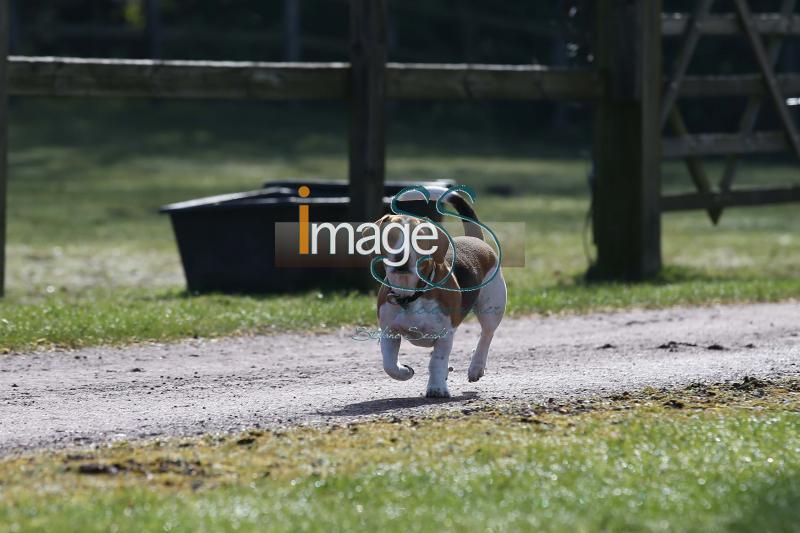 CameronHanley_SS7_9172.jpg