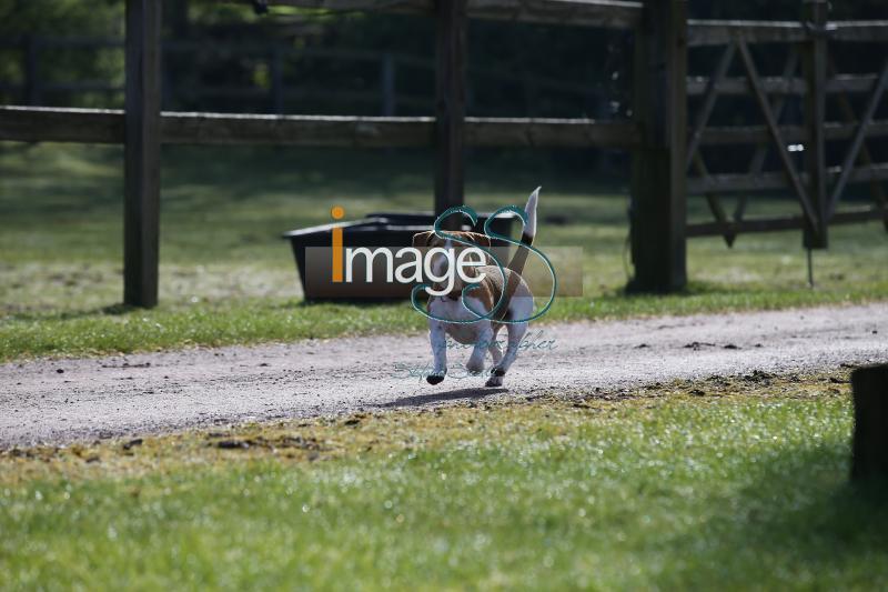 CameronHanley_SS7_9173.jpg