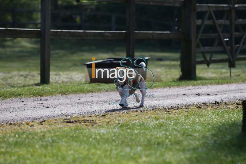 CameronHanley_SS7_9174.jpg