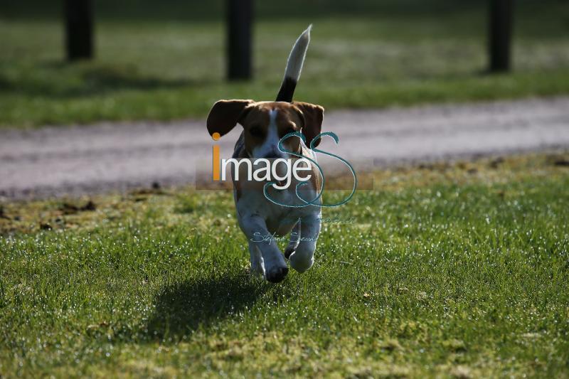CameronHanley_SS7_9177.jpg