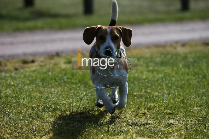 CameronHanley_SS7_9180.jpg