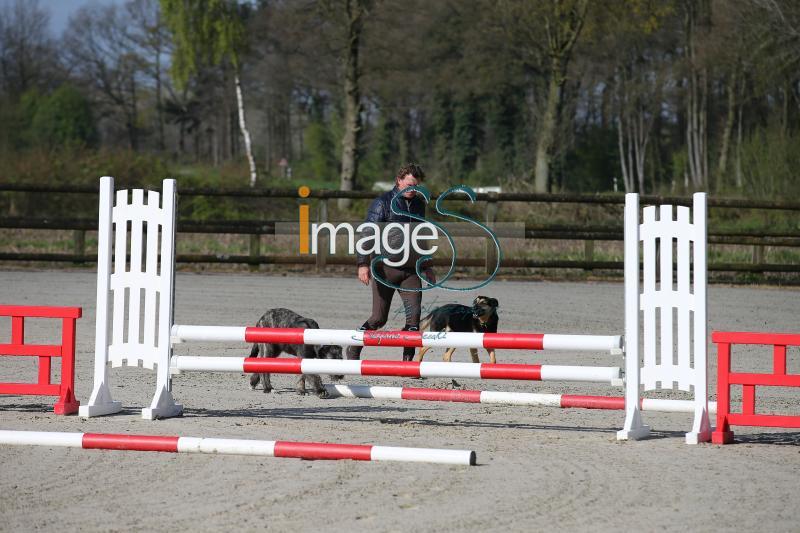 CameronHanley_SS7_9200.jpg