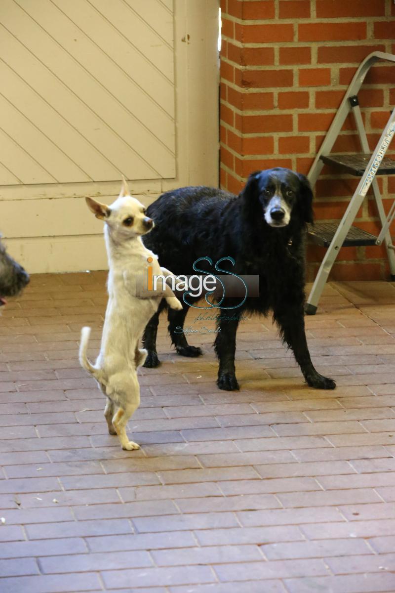 CameronHanley_SS7_9259.jpg