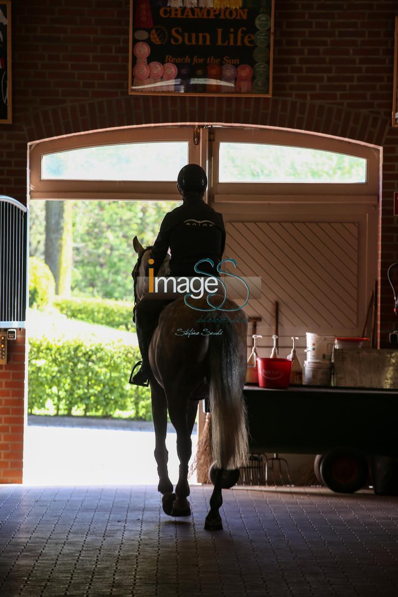 CameronHanley_SS7_9325.jpg