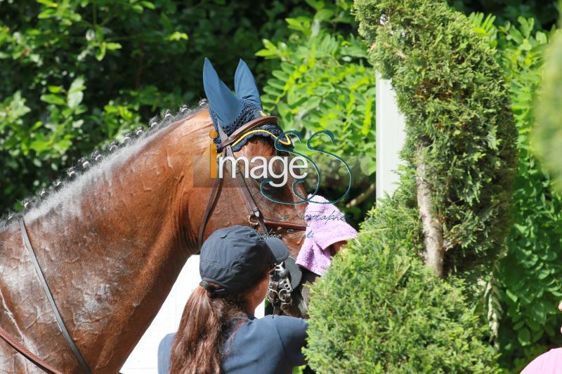 CampoProva_Roma2016_SS8_5308.jpg