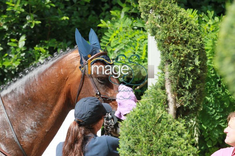CampoProva_Roma2016_SS8_5309.jpg