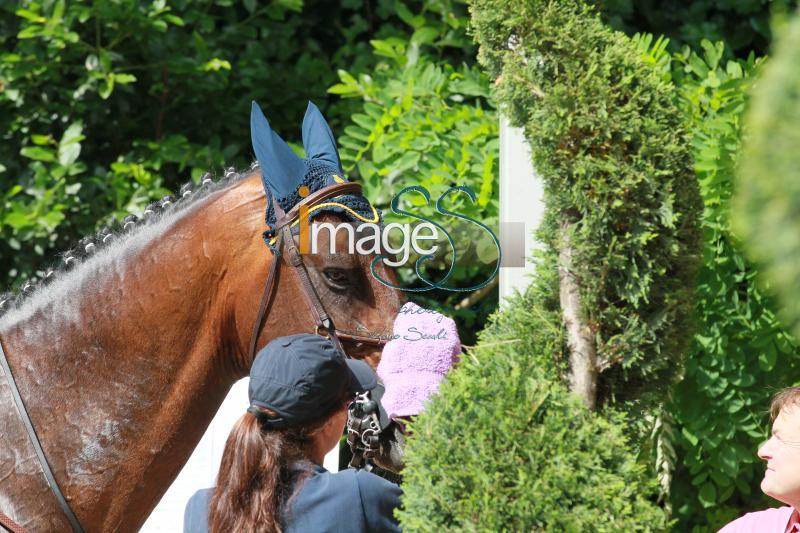 CampoProva_Roma2016_SS8_5310.jpg