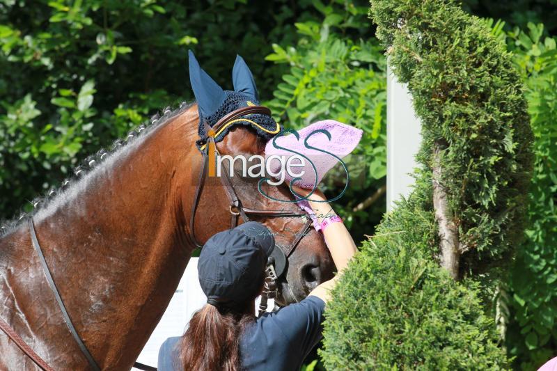 CampoProva_Roma2016_SS8_5311.jpg