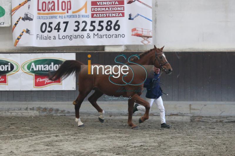 CanCan_Cesena2019_SS7_7673.jpg