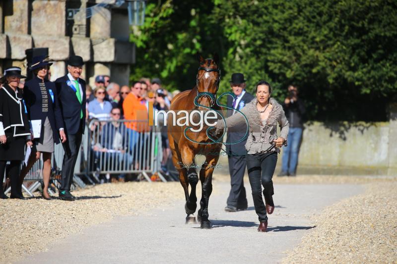 Canter_Allstar_Badmington2018_SS7_3923.jpg