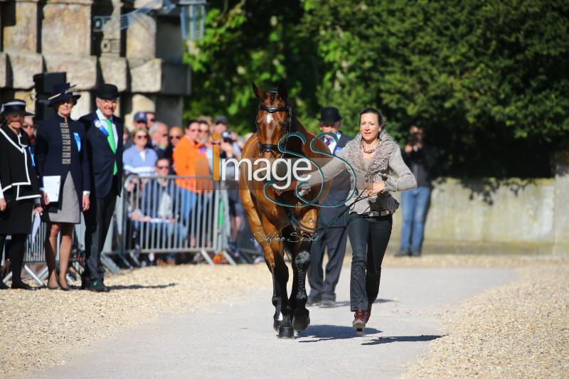 Canter_Allstar_Badmington2018_SS7_3925.jpg