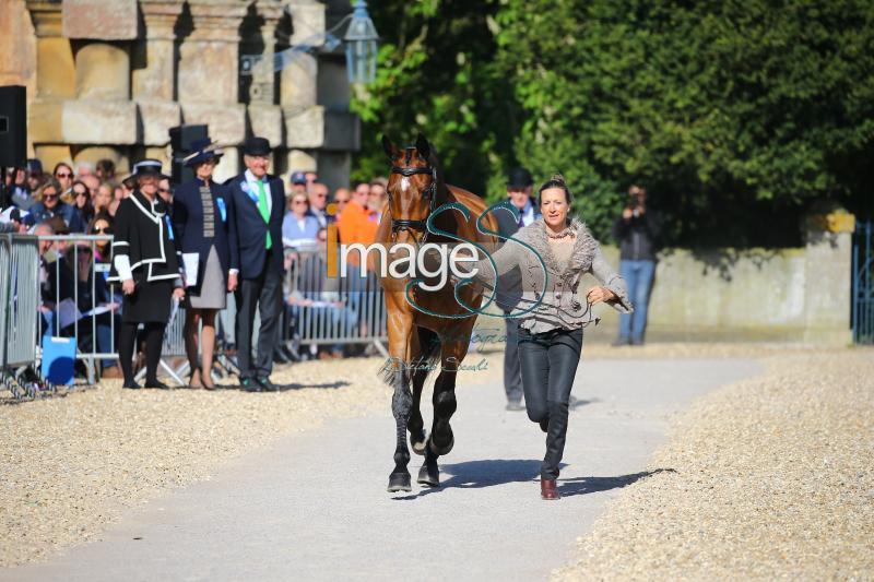Canter_Allstar_Badmington2018_SS7_3926.jpg