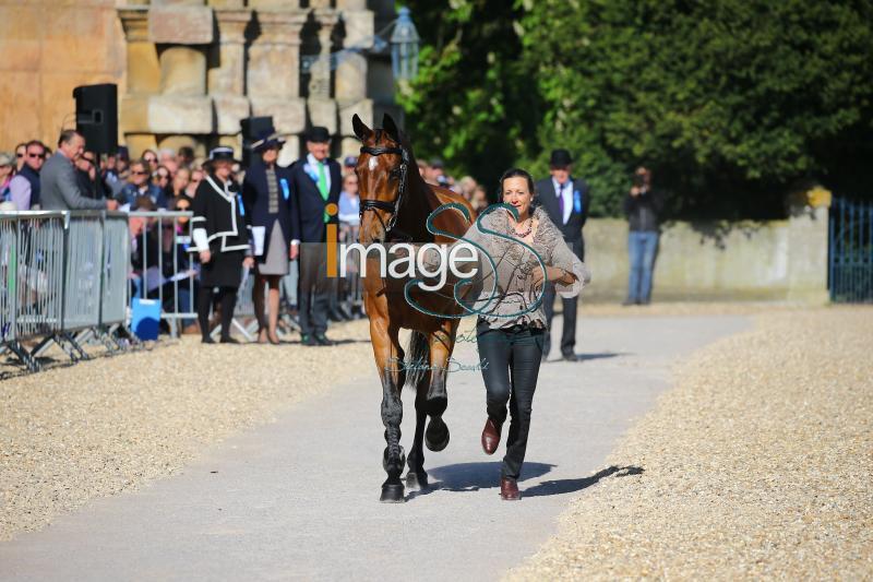 Canter_Allstar_Badmington2018_SS7_3929.jpg