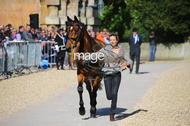 Canter_Allstar_Badmington2018_SS7_3933.jpg