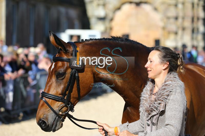 Canter_Allstar_Badmington2018_SS7_3939.jpg