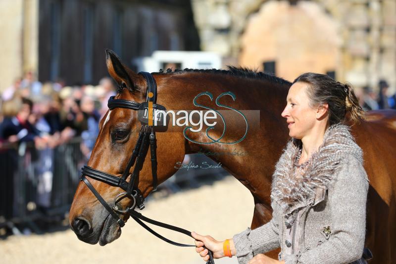 Canter_Allstar_Badmington2018_SS7_3940.jpg