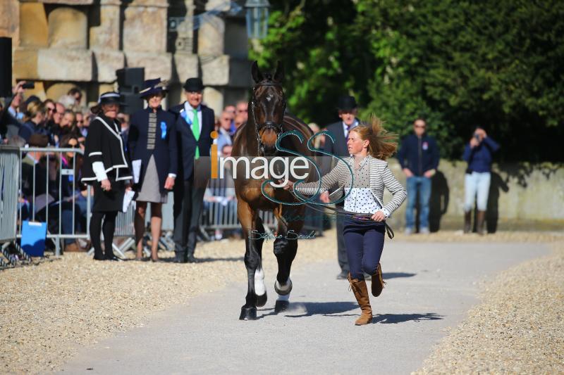 Canter_Allstar_Badmington2018_SS7_3947.jpg